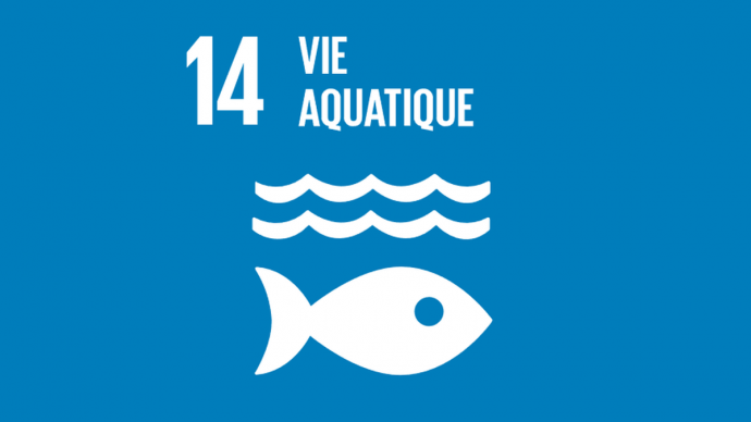 ODD 14 : Vie aquatique