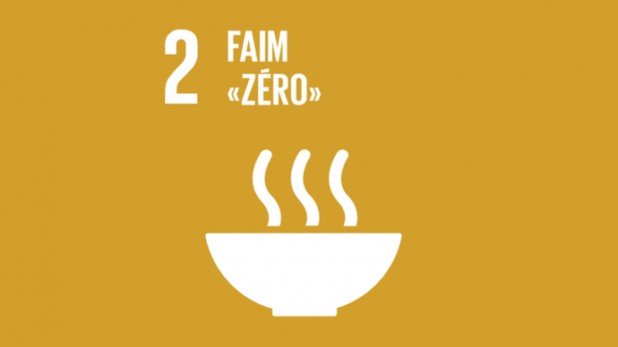 ODD 2 : Faim zero