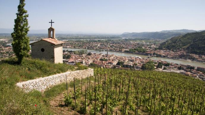 Vignoble de Condrieu