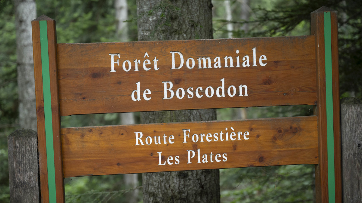 Forêt Domaniale de Boscodon