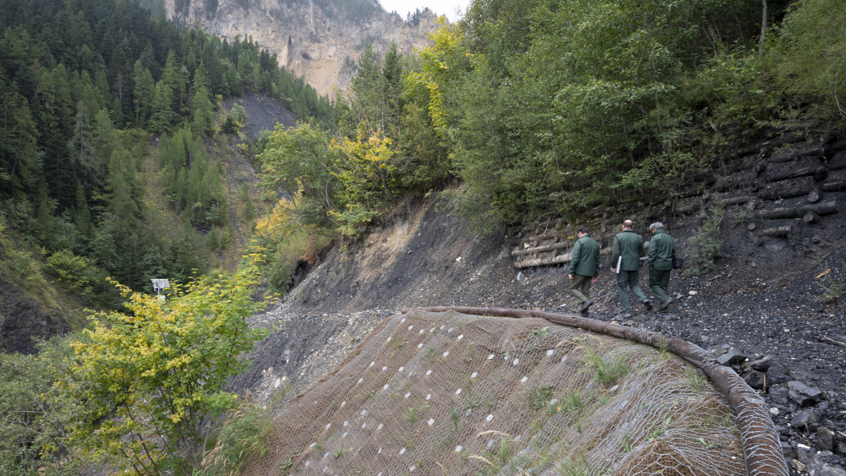 En montagne, la forêt est essentielle pour prévenir les risques naturels. Le système racinaire des arbres, et d’une manière plus générale la végétation, permettent de réduire l’érosion des sols.